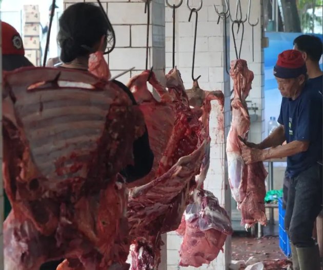 Idul Adha, BPJPH Gelar Pengawasan Terpadu Penyembelihan Hewan Kurban