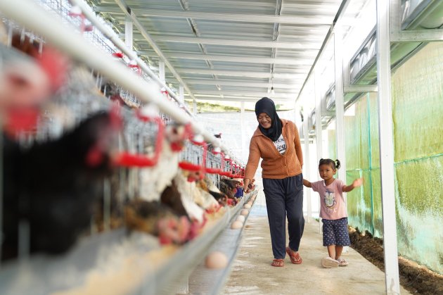 Bantu Ekonomi dan Pangan, PNM Bagikan 240 Ekor Ayam