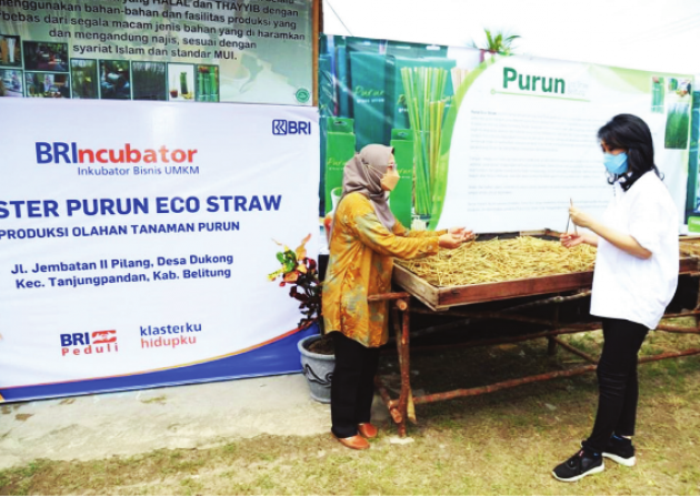 Sulap Rumput Menjadi Sedotan, NASABAH BINAAN BRI INI JADI PAHLAWAN LINGKUNGAN DAN MASYARAKAT