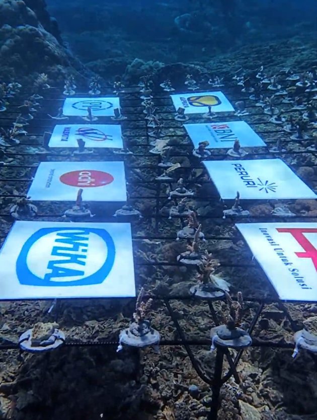 Waskita Karya Tanam Ratusan Terumbu Karang di Pantai Bangsring, Berdayakan Masyarakat Pesisir