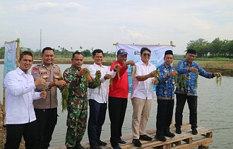 Kolaborasi dengan Nelayan, PT BAg Wujudkan Pertumbuhan Berkelanjutan Lewat Budidaya Anggur Laut