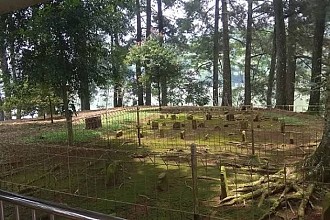 Daya Tarik Pasir Mantri, Wisata Religi di Tengah Situ Wanayasa