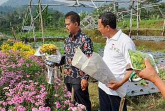 Kementan Pacu Pengembangan Sentra Tanaman Hias di Tawangmangu