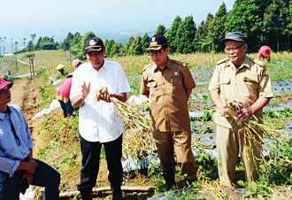 Cianjur Siap Sukseskan Swasembada Bawang Putih 2021