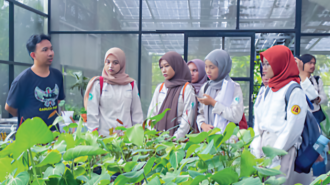 Pelita Desa Nursery Bisnis Tanam Hias Tembus Mancanegara