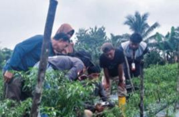 Gulirkan Harmoni Makarti PT Hengjaya Mineralindo Kembangkan Pertanian Ramah Lingkungan