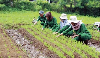 PUSDIKTAN Ciptakan Ujung Tombak Pertanian