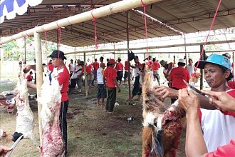 Kementan Atur Pelaksanaan Kurban di Tengah Pandemi