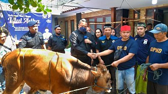 Garda Pemuda NasDem Sembelih 99 Hewan Kurban Serentak di 34 Provinsi