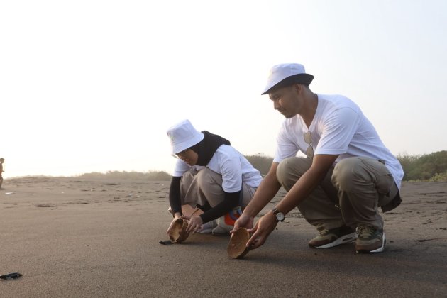 Penyu-lamat 2025: Aksi Sukarelawan Karyawan Telkom Edukasi Sampah dan Konservasi Penyu di Pantai Pelangi Yogyakarta