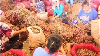 Pasokan Mencukupi, Harga Komoditas Hortikultura Terpantau Stabil Hingga Lebaran