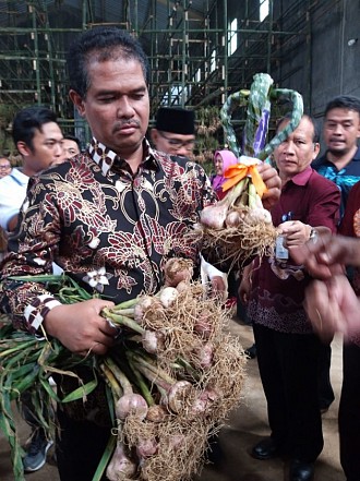 Kementan Sudah Terbitkan Rekomendasi 19 Importir Bawang Putih 245 Ribu Ton