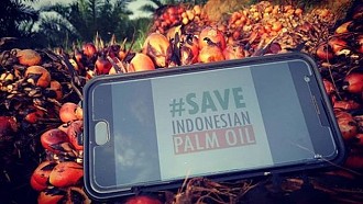 JIM: Pemerintah RI Lalai Terhadap Kebakaran Hutan dan Industri Sawit