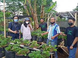 Jamkrindo dan Salarea Foundation Menyiapkan Program Rumah Semai  