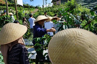 Terletak Di Ketinggian 1300-1500 Mdpl, Kampung Kopi Konservasi Di Banjarnegara Mampu Cegah Erosi Tanah Juga Sejahterakan Warga