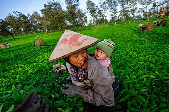 PNM Majukan UMKM Lewat Literasi Kesehatan Ibu dan Anak