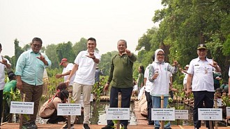 Peringati Hari Mangrove Sedunia, Apical Percepat Perlindungan Ekosistem dengan Penanaman 3.000 Pohon Mangrove di Jakarta