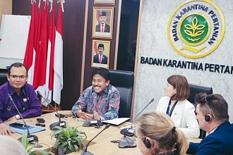 Karantina Pertanian Buka Kemball Kran Impor Sapi Asal Australia