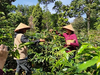 PLN Indonesia Power Hadirkan Kopi Terbaik di Ajang Otomotif Terbesar Indonesia