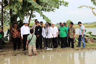 Mentan Amran Pastikan Tambahan Anggaran Peningkatan Produksi dan Pupuk Bersubsidi Segera Realisasi