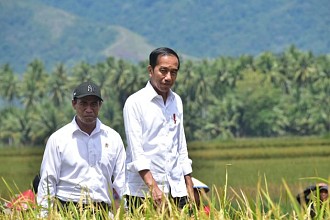 Di Sulteng, Presiden Jokowi Apresiasi Gebrakan Mentan Amran Lakukan Percepatan Tanam Padi