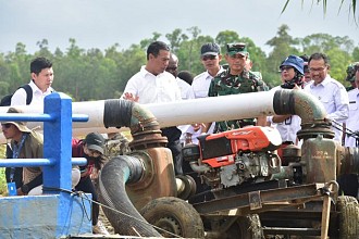 Mentan Cek Pompanisasi di Merauke,  Targetkan Pertanian Modern