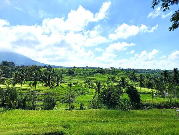 Indonesia Siapkan Beragam Side Event World Water Forum ke-10 