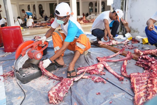 Idul Adha 1445 H, PGN Bagikan 382 Hewan Qurban di Sekitar Wilayah Operasional