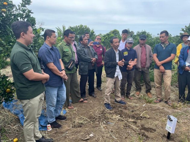 Dukung Potensi Jeruk Sumatera Utara, PLN Serahkan Bantuan Electrifying Agriculture