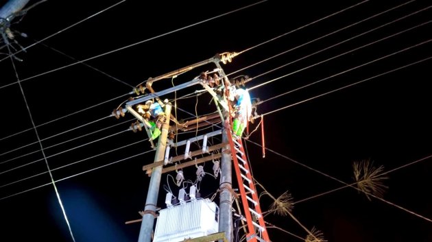 PLN Babel, Perkuat Keandalan Listrik: Lakukan Pemeliharaan Jaringan TM dan Perambasan Pohon