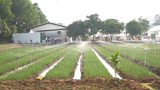 PT Pupuk Kujang Perkenalkan Formula Baru Pupuk NPK Nitrat Pertama Di Indonesia Untuk Peningkatan Produksi Hortikultura Nasional