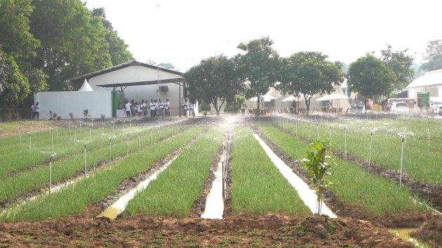 Pt Pupuk Kujang Perkenalkan Formula Baru Pupuk NPK Nitrat Pertama Di Indonesia Untuk Peningkatan Produksi Hortikultura Nasional