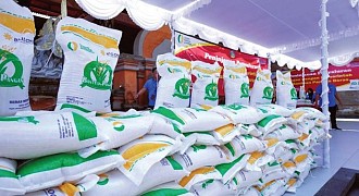 Langkah Nyata Bapanas Pangan Aman, Gizi Terpenuhi