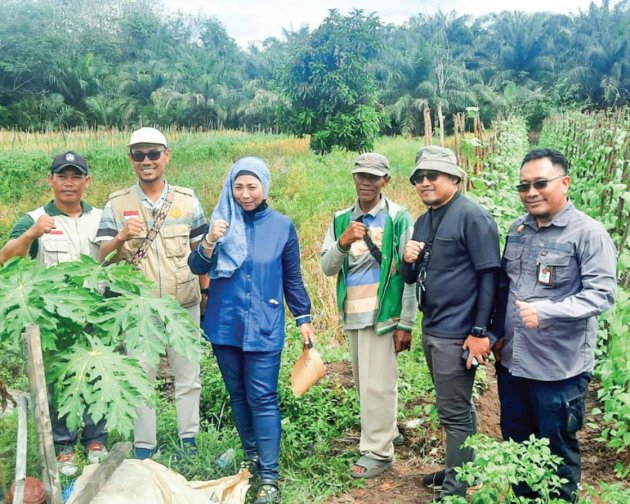 Kebangkitan Petani Muda Menuju Kemandirian Pangan