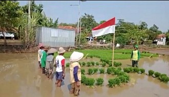 Cara Unik Petani Pekalongan gelar Upacara Bendera di Tengah Sawah