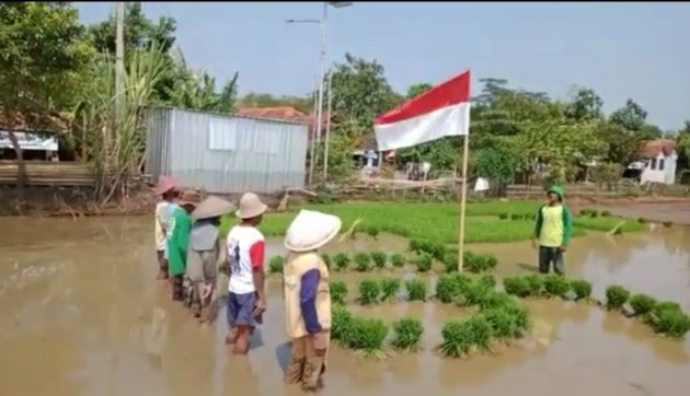 Cara Unik Petani Pekalongan gelar Upacara Bendera di Tengah Sawah