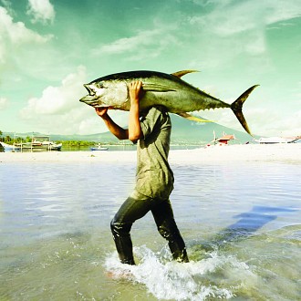 Ikan Melimpah Kok Datanya Tetap