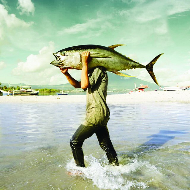 Ikan Melimpah, Kok Datanya Tetap