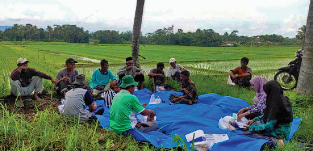 Petani CSA Purworejo Manfaatkan Demplot Sebagai Laboratorium Lapang