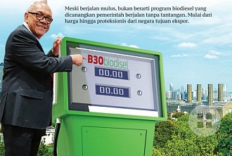 Program Biodiesel dan Tantangan Menghadang