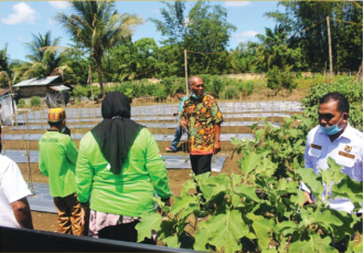 Membangun Kemandirian Pertanian Abdya