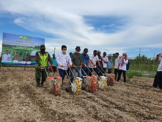 Jadi Sentra Kedelai, Tebo Kembangkan Korporasi Benih