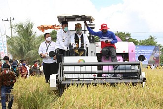 Kementan Dorong Daerah Lakukan Percepatan Tanam Padi