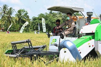 Produksi Beras 2020 Capai 31,63 Juta Ton, Naik Signifikan Dibanding 2019