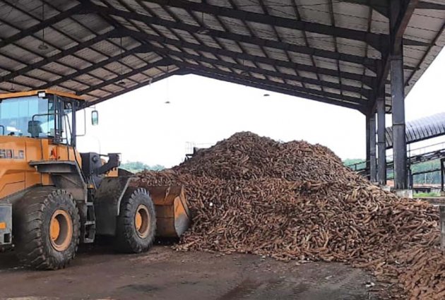 Kementan Dorong Peningkatan Pendapatan Petani Singkong Babel