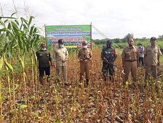 Dukung Kementan, Kabupaten Gunungkidul Targetkan Tanam Kedelai Varietas Unggul