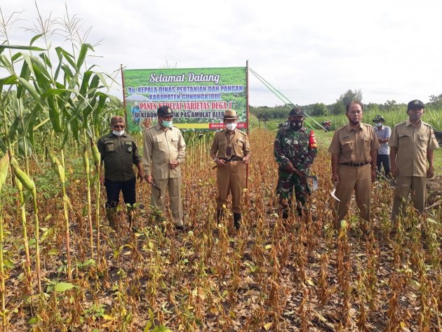 Dukung Kementan, Kabupaten Gunungkidul Targetkan Tanam Kedelai Varietas Unggul