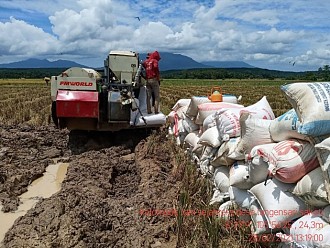 Sambut Panen Raya, Kementan Siapkan 245 Pemantau Harga Dilaporkan Online