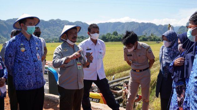 Jamin Stok Beras Melimpah, Mentan SYL: Lahan Tak Boleh Nganggur Lama