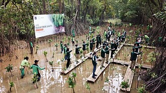 Apical Group Gandeng Pemerintah Selamatkan Mangrove di DKI Jakarta